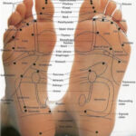 Foot reflexology chart at our West Palm Beach nail salon.